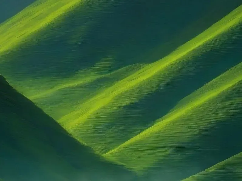 Desert landscape