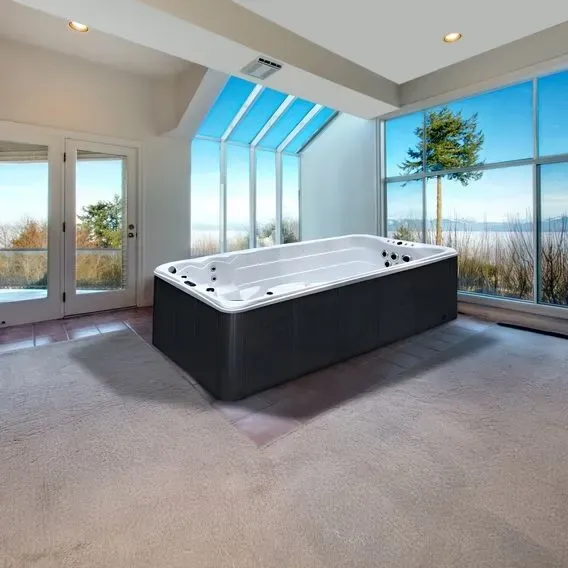 Swim Spa